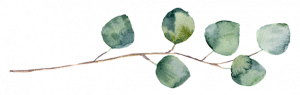 round-leaved-twig