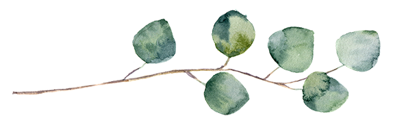 round-leaved-twig