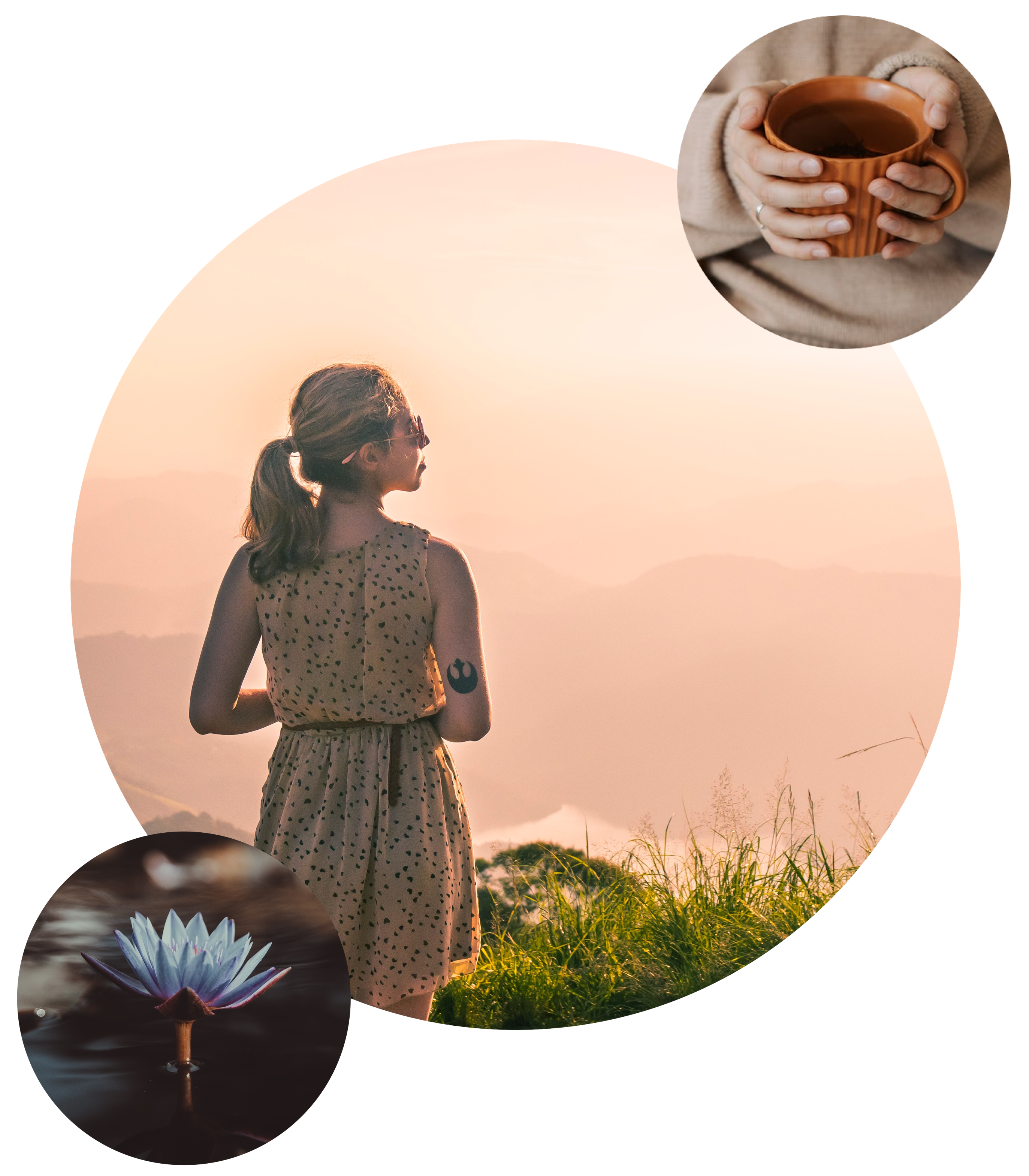 Therapy for Therapists