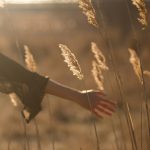 Somatic Psychotherapy | Centre for Holistic Living