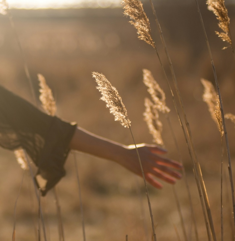 Somatic Psychotherapy | Centre for Holistic Living