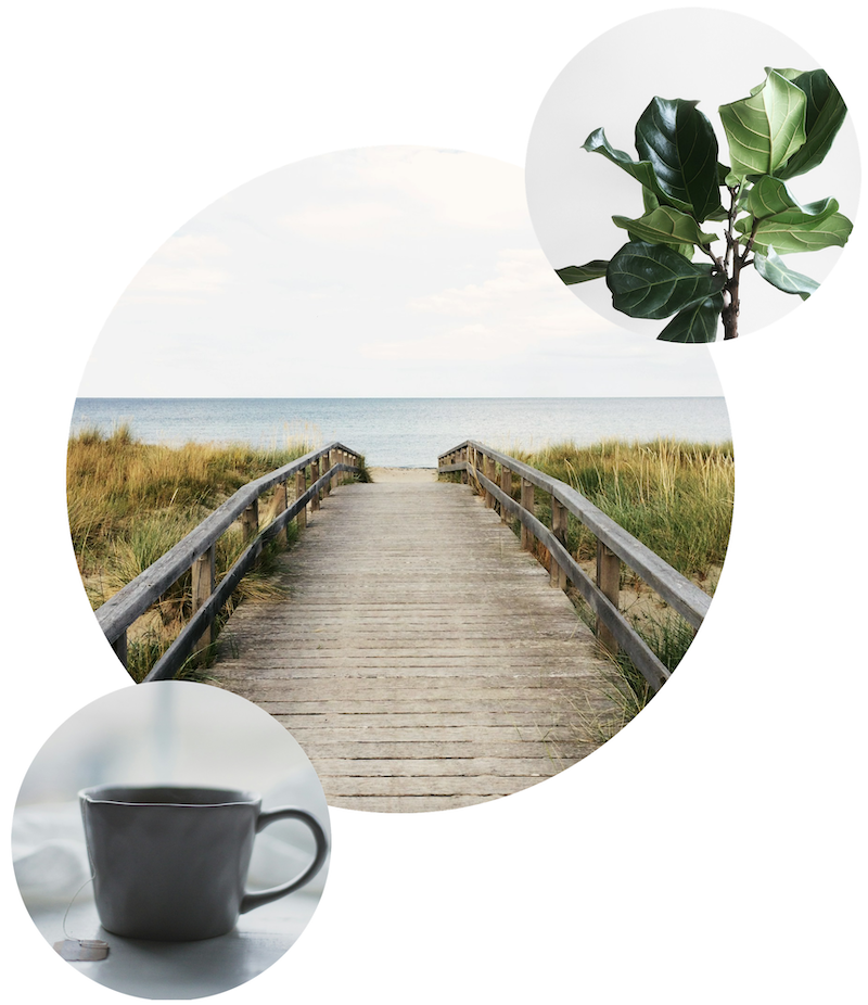 WorkCover Counselling | Centre for Holistic Living in Coolum Beach, Sunshine Coast