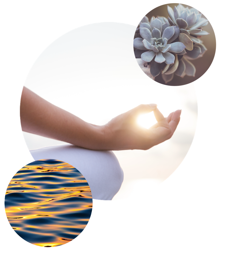 Dry Float Therapy | Centre for Holistic Living Coolum Beach, Sunshine Coast